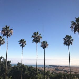 Meet your Posher, Kimmy